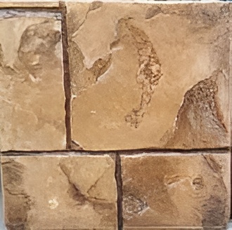 C-008