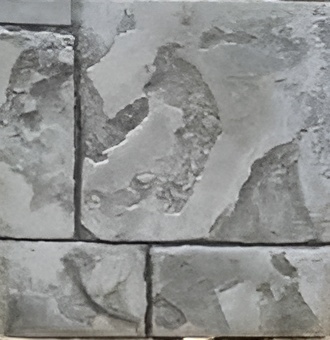 C-011